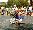 jim roll